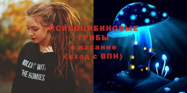 мдпв Богородицк
