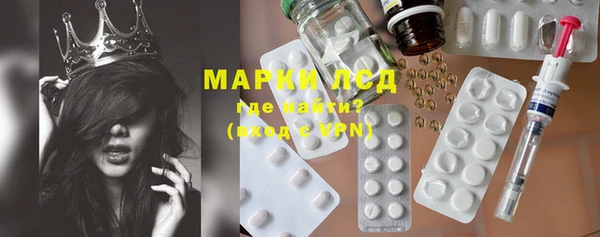 индика Беломорск