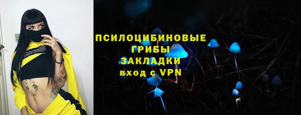 мдпв Богородицк